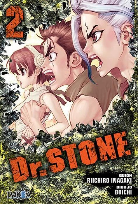 DR. STONE