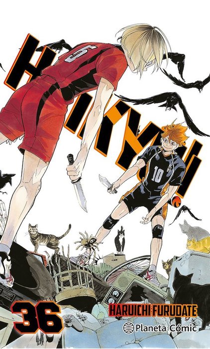 HAIKYUU!! - ESPAÑA
