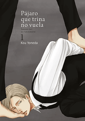 PÁJARO QUE TRINA NO VUELA (SAEZURU TORI WA HABATAKANAI)