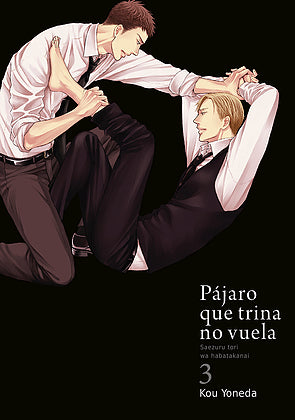 PÁJARO QUE TRINA NO VUELA (SAEZURU TORI WA HABATAKANAI)
